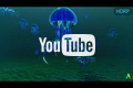 Bioluminescence