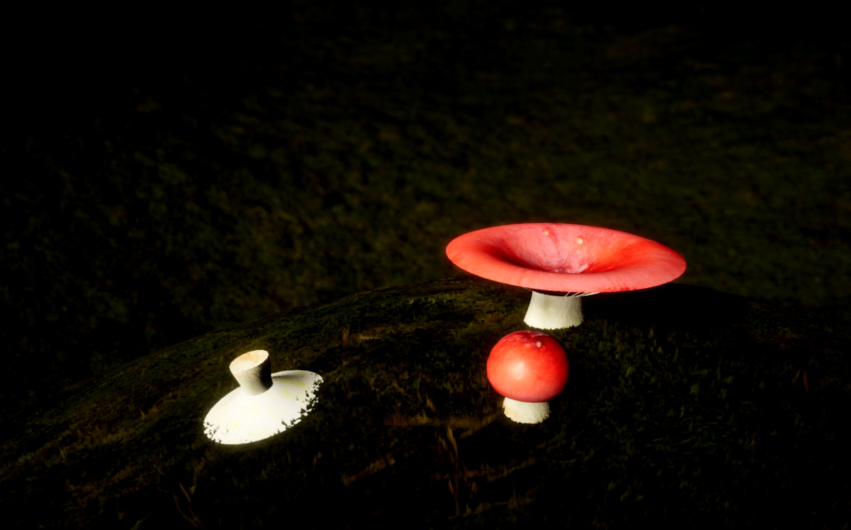 Mushrooms Generator