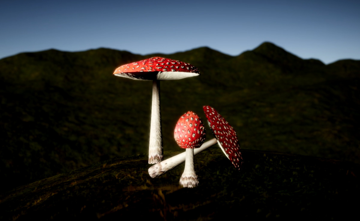Mushrooms Generator