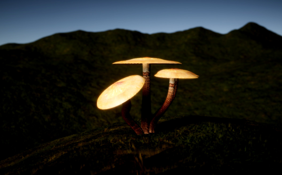 Mushrooms Generator