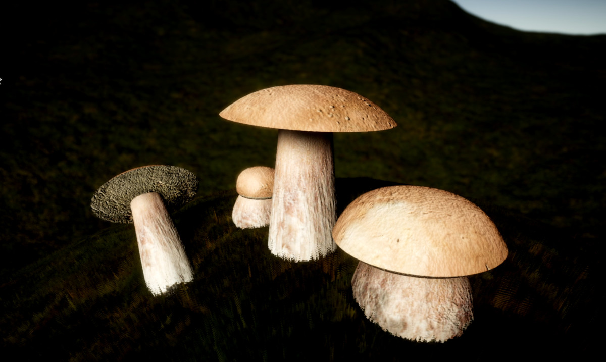 Mushrooms Generator
